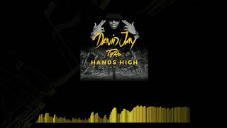 David Jay & Tyro - Hands High