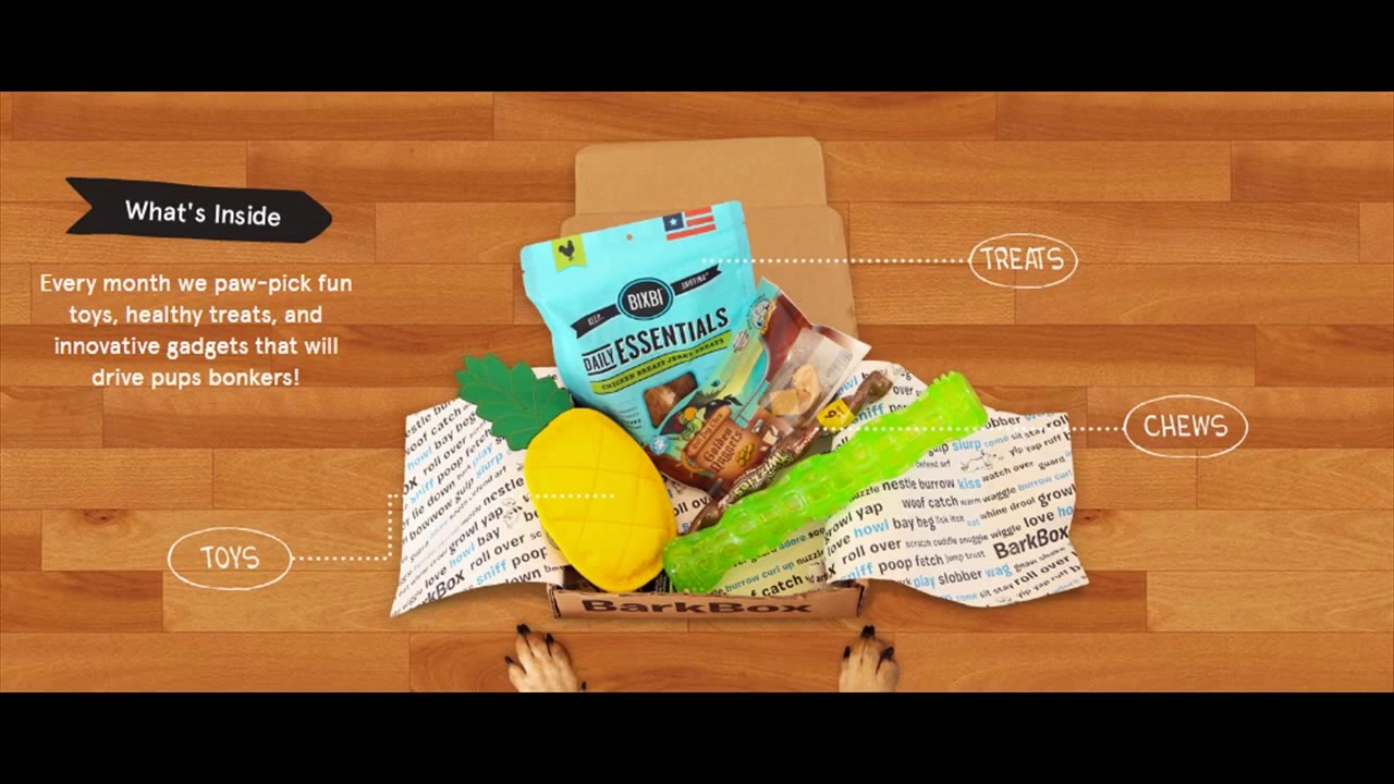 barkbox for cats