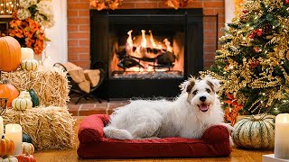 A Happy & Friends Yule Log - Hallmark Movies & Mysteries