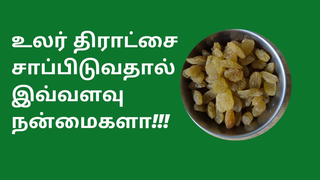 உலர் திராட்சை பயன்கள்/dry grapes benefits in tamil YouTube