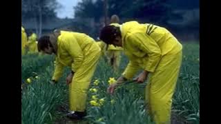 TINDIRET CHEP USIA - BAMWAI YEGON