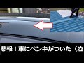 悲報！ペンキが車全体にかかってしまった