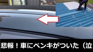 悲報！ペンキが車全体にかかってしまった