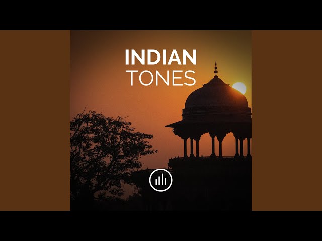 Indian Drone Tone in D class=