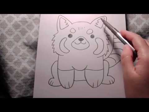 How to Draw a Red Panda - YouTube