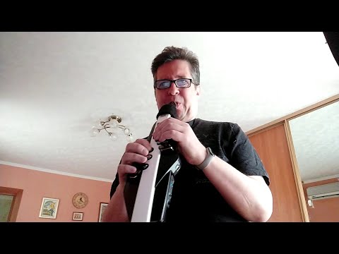 Видео: One Note Samba on Aerophone AE-20