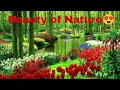 Beauty of nature  beautiful view  beauty of greenery  beauty hunter 112