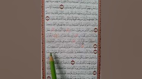 سورة العنكبوت من آية (٧) إلى آية (١٤) ص٣٩٧