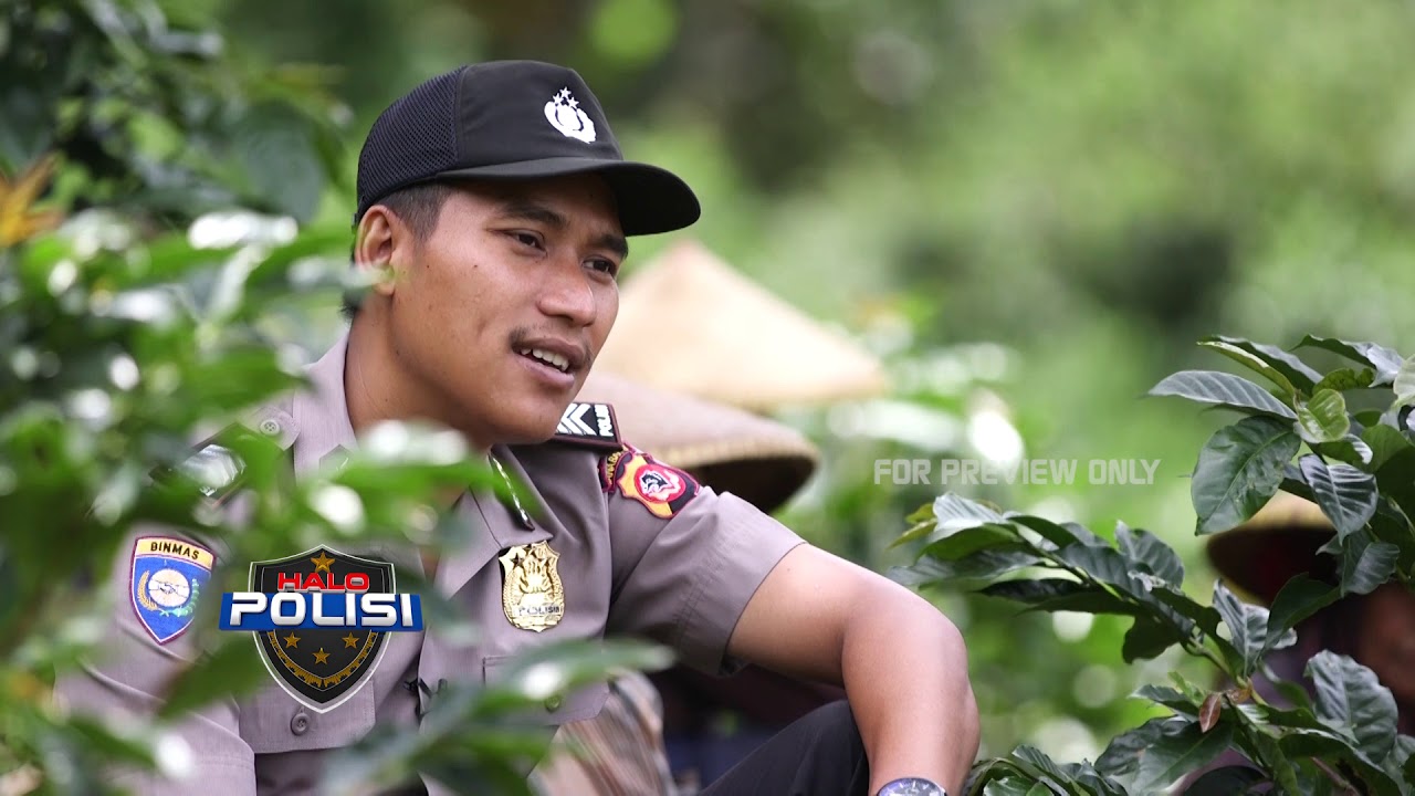 Polisi pembudidaya kopi arabika