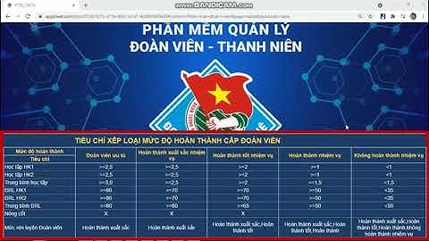 Hướng dẩn tự đánh giá bí thư chi đoàn năm 2024