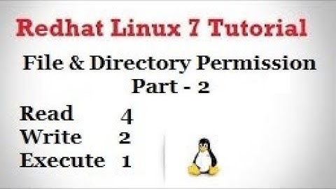Basic Permission of Linux ( Read, Write & Execute ) Part - 2, Video No - 37