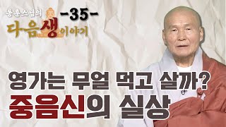 영가는 무얼 먹고 살까? 중음신의 실상 - 동훈스님 다음생이야기 35회