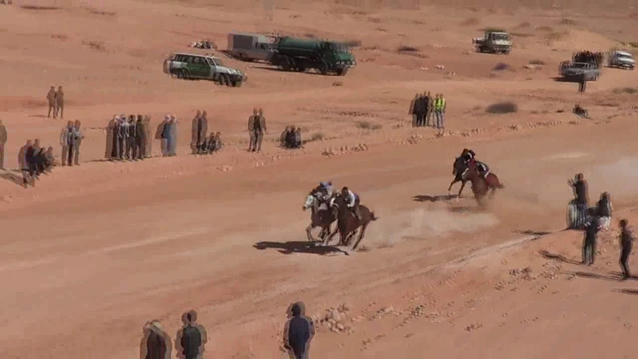 سباق الخيل2019