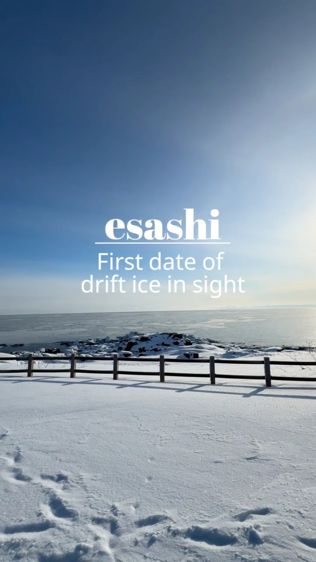 2026.1.29 【北海道】枝幸町・流氷初日 #流氷 #北海道観光 #枝幸町