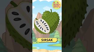 MENGENAL BUAH SIRSAK #edukasi #belajar #anak #buahbuahan  #anakanak #shortsanakanak #reelsshorts