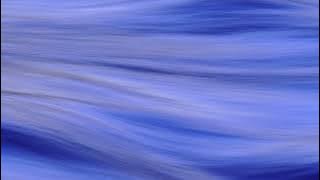 Audiology,Spin Worx,French August-Hallelujah