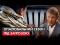 Мільярдні борги і Опалювальний сезон: в яких містах України можуть бути проблеми з теплом