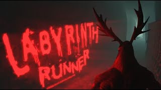 Labyrinth Runner Horror Escape Survive Simulator Review (Switch)