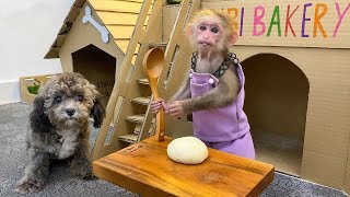 Cute And Funny moments of BiBi and friends funny animals videos