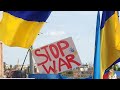 Jon Bon Jovi - It’s my life (cover - STOP WAR IN UKRAINE)