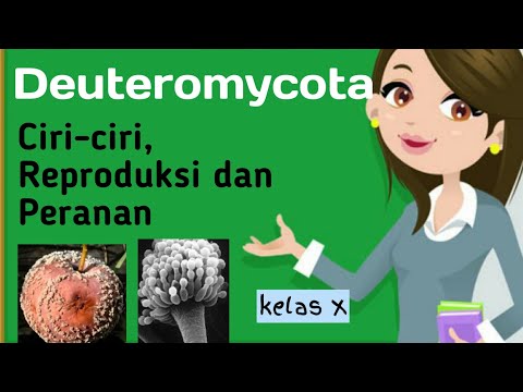 Materi Biologi Deuteromycota Kelas 10 | Bab Kingdom Fungi
