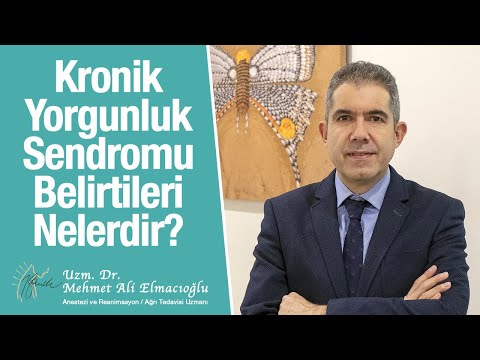 Video: Moreller yangından sonra neden büyür?