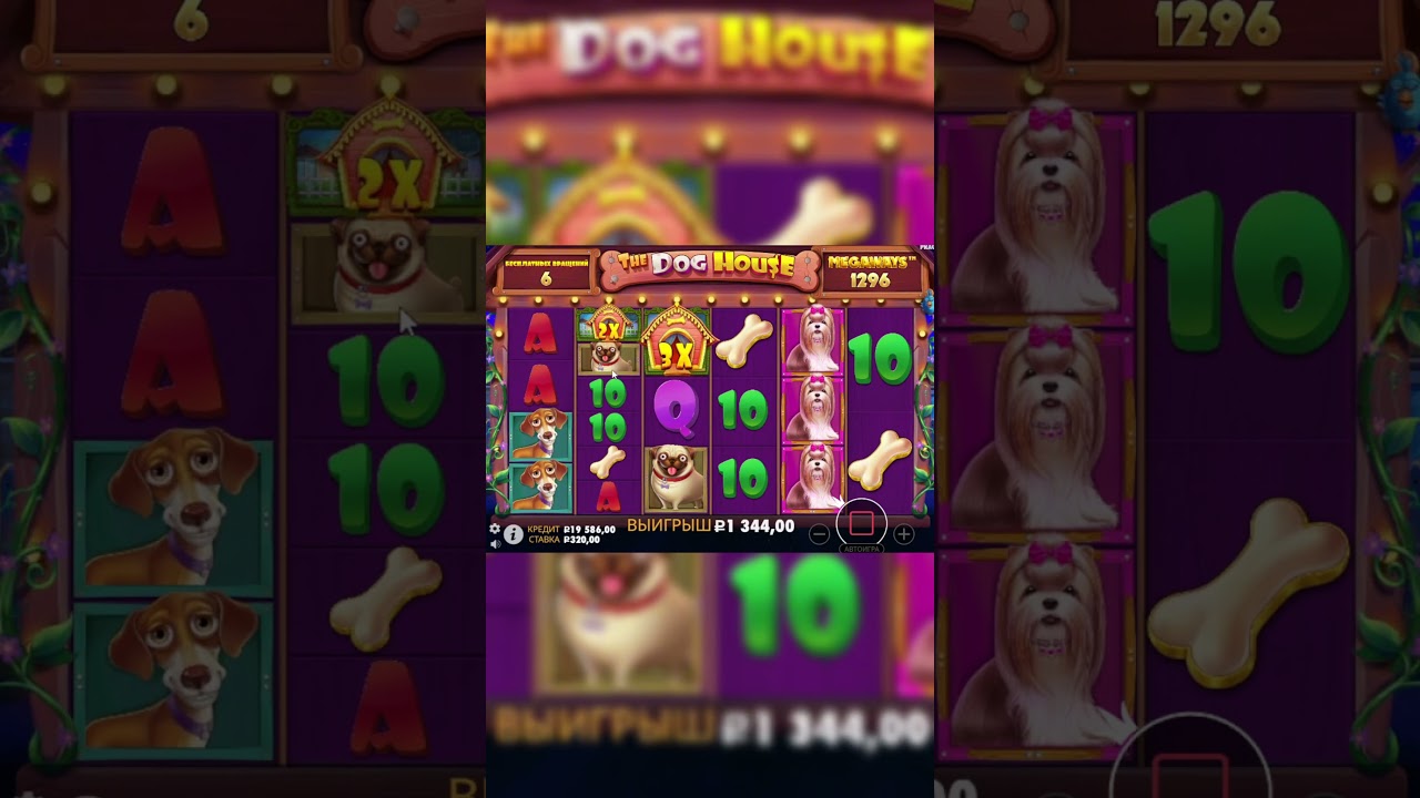 ЗАНОС ПО ХОРОШЕЙ СТАВКЕ В СОБАКАХ 