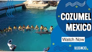 Cozumel Mexico Top Excursions and Port Review | Carnival Cruise Port | Travel Vlog