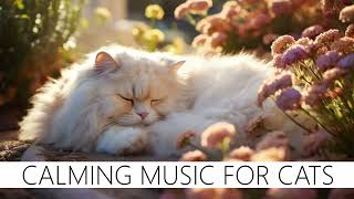 BEAUTIFUL PIANO Music to relax your cat, reduce anxiety ❤️😺