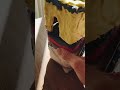 言いたい事伝わりました