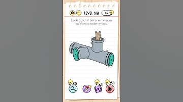 BRAIN TEST LEVEL 108