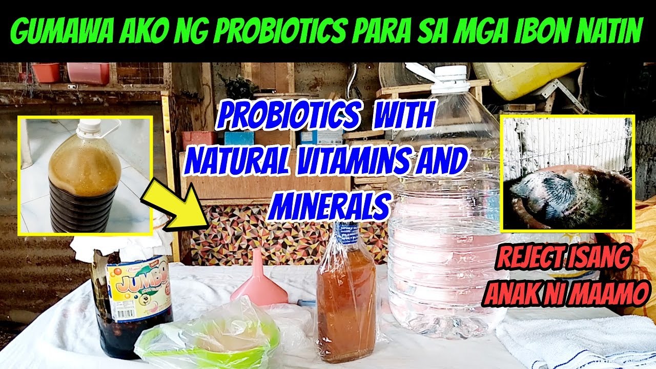 GUMAWA AKO NG PROBIOTICS PARA SA MGA ALAGA NATIN / PROBIOTICS WITH NATURAL VITAMINS AND MINERALS