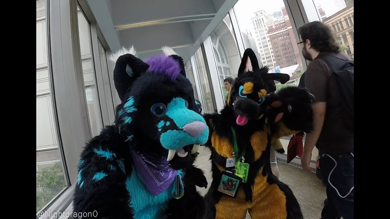 Nightdragon's Anthrocon 2016 Con Video