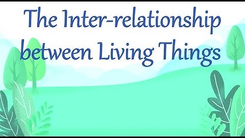 Standard: IV  , Subject: EVS -1 , Topic:Inter Relationship between Living things