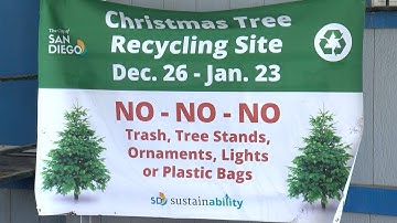The City of San Diego Launches Its 46th Annual Christmas Tree Recycling Program