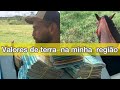 Valor de hectares aqui na minha região falando de pecuária