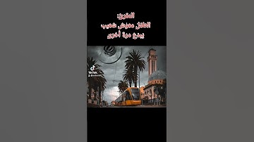 سورة الفاتحة و سورة الناس بصوت المقرئ الطفل معوش شعيب في صلاة الوتر العاشر من رمضان