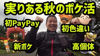 【ポケモンGO】実りある秋のポケ活、初PayPay、高個体、初色違い、新ポケ