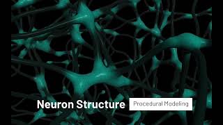 Neuron Structure From Voronoi Fracture - Houdini Procedural Modeling (silent)