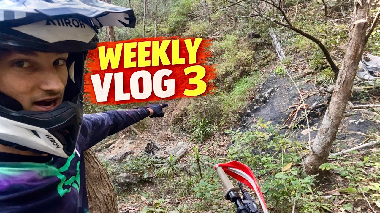 WV3 - CUTTING IN GOLD LINES