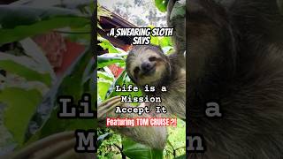 Motivation by swearing sloth 🦥💥 #motivation #funny #missionimpossible #tomcruise #goals #animals