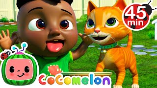 codys big brother song cody and friends sing with cocomelon