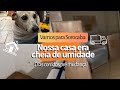 Últimos dias na casa cheia de umidade 😅 rumo à nova vida em Sorocaba! 🏡🌳