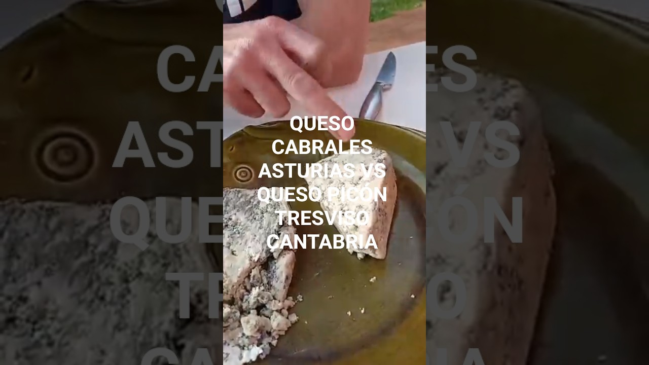 QUESO CABRALES ASTURIAS VS QUESO PICÓN TRESVISO CANTABRIA #shorts #youtubeshorts #cocina #food #food