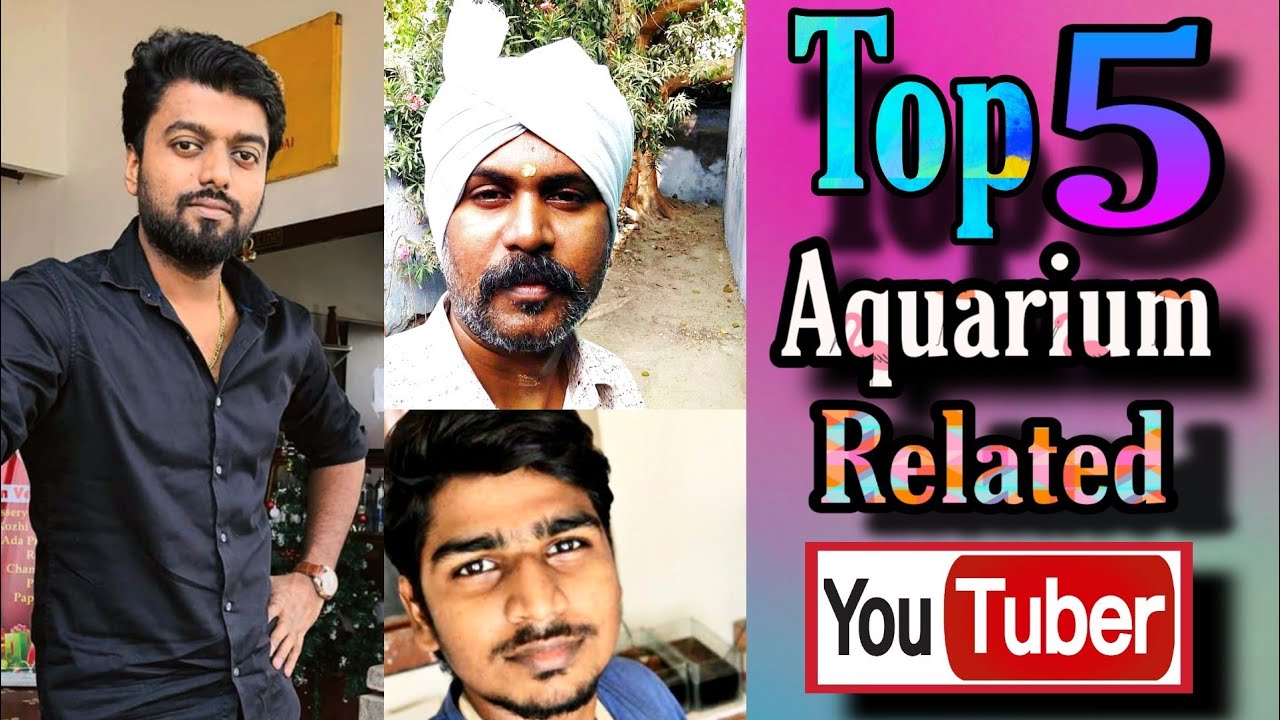 Top 5 Aquarium Related Tamil Youtubers in subscribers YouTube