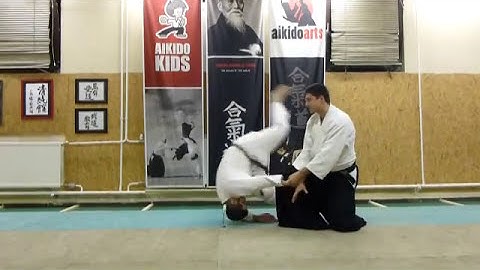 hanmi handachi gyakuhanmi katatedori battonage- [TUTORIAL] Aikido empty hand basic technique