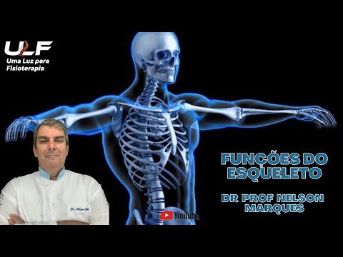 FUNÇÕES DO ESQUELETO HUMANO - Dr. Prof. Nelson Marques