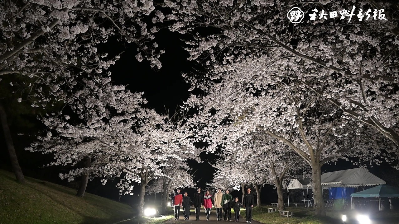 秋田の春 桜日和】浮き上がるハート探して 三種町の惣三郎沼公園 - YouTube
