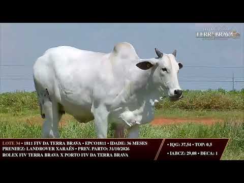 LOTE 34   EPCO 1811