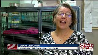 Tulsa Animal Welfare Shelter getting extra funding